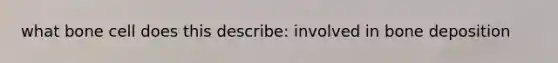 what bone cell does this describe: involved in bone deposition