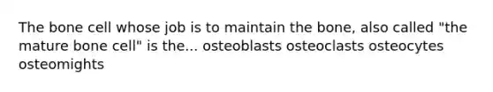 The bone cell whose job is to maintain the bone, also called "the mature bone cell" is the... osteoblasts osteoclasts osteocytes osteomights