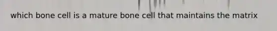 which bone cell is a mature bone cell that maintains the matrix