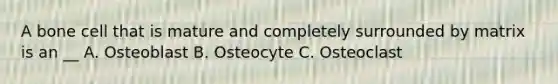 A bone cell that is mature and completely surrounded by matrix is an __ A. Osteoblast B. Osteocyte C. Osteoclast