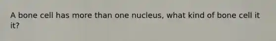 A bone cell has more than one nucleus, what kind of bone cell it it?