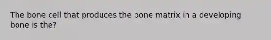 The bone cell that produces the bone matrix in a developing bone is the?