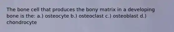 The bone cell that produces the bony matrix in a developing bone is the: a.) osteocyte b.) osteoclast c.) osteoblast d.) chondrocyte