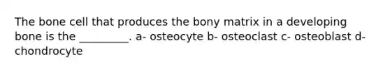 The bone cell that produces the bony matrix in a developing bone is the _________. a- osteocyte b- osteoclast c- osteoblast d- chondrocyte