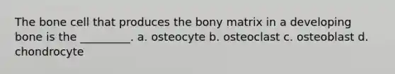 The bone cell that produces the bony matrix in a developing bone is the _________. a. osteocyte b. osteoclast c. osteoblast d. chondrocyte