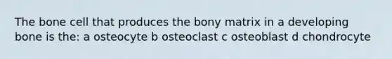 The bone cell that produces the bony matrix in a developing bone is the: a osteocyte b osteoclast c osteoblast d chondrocyte