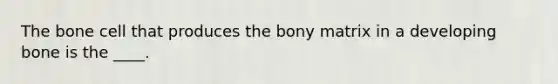 The bone cell that produces the bony matrix in a developing bone is the ____.