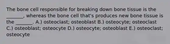 The bone cell responsible for breaking down bone tissue is the _______, whereas the bone cell that's produces new bone tissue is the _______. A.) osteoclast; osteoblast B.) osteocyte; osteoclast C.) osteoblast; osteocyte D.) osteocyte; osteoblast E.) osteoclast; osteocyte