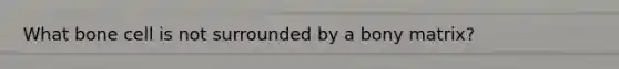 What bone cell is not surrounded by a bony matrix?