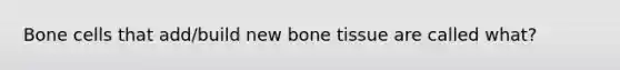 Bone cells that add/build new bone tissue are called what?