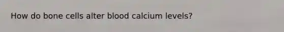 How do bone cells alter blood calcium levels?