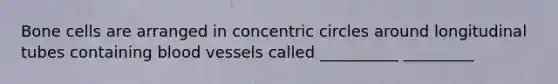 Bone cells are arranged in concentric circles around longitudinal tubes containing blood vessels called __________ _________