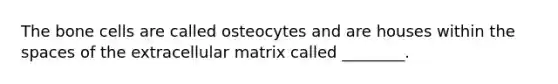 The bone cells are called osteocytes and are houses within <a href='https://www.questionai.com/knowledge/k0Lyloclid-the-space' class='anchor-knowledge'>the space</a>s of the extracellular matrix called ________.