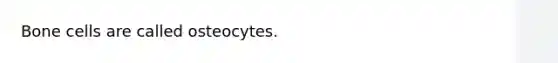 Bone cells are called osteocytes.