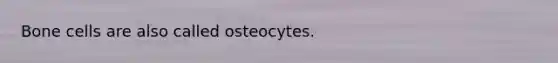 Bone cells are also called osteocytes.