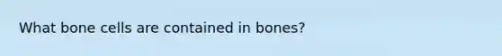 What bone cells are contained in bones?