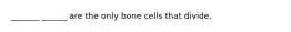 _______ ______ are the only bone cells that divide.