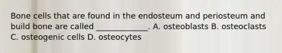 Bone cells that are found in the endosteum and periosteum and build bone are called _____________. A. osteoblasts B. osteoclasts C. osteogenic cells D. osteocytes