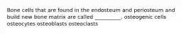 Bone cells that are found in the endosteum and periosteum and build new bone matrix are called __________. osteogenic cells osteocytes osteoblasts osteoclasts
