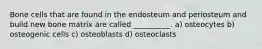 Bone cells that are found in the endosteum and periosteum and build new bone matrix are called __________. a) osteocytes b) osteogenic cells c) osteoblasts d) osteoclasts