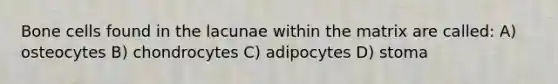 Bone cells found in the lacunae within the matrix are called: A) osteocytes B) chondrocytes C) adipocytes D) stoma