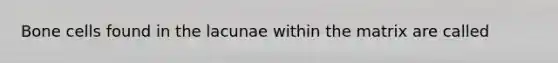 Bone cells found in the lacunae within the matrix are called