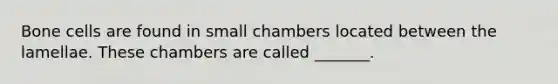 Bone cells are found in small chambers located between the lamellae. These chambers are called _______.