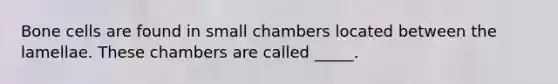 Bone cells are found in small chambers located between the lamellae. These chambers are called _____.