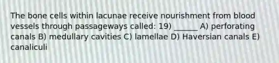 The bone cells within lacunae receive nourishment from blood vessels through passageways called: 19) ______ A) perforating canals B) medullary cavities C) lamellae D) Haversian canals E) canaliculi