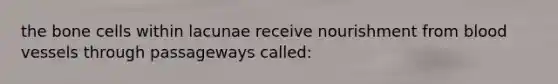 the bone cells within lacunae receive nourishment from blood vessels through passageways called: