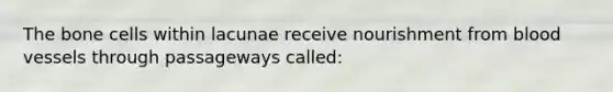 The bone cells within lacunae receive nourishment from <a href='https://www.questionai.com/knowledge/kZJ3mNKN7P-blood-vessels' class='anchor-knowledge'>blood vessels</a> through passageways called: