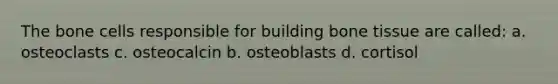 The bone cells responsible for building bone tissue are called: a. osteoclasts c. osteocalcin b. osteoblasts d. cortisol