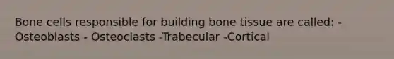 Bone cells responsible for building bone tissue are called: - Osteoblasts - Osteoclasts -Trabecular -Cortical