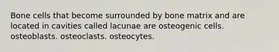 Bone cells that become surrounded by bone matrix and are located in cavities called lacunae are osteogenic cells. osteoblasts. osteoclasts. osteocytes.