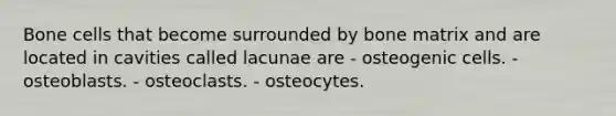 Bone cells that become surrounded by bone matrix and are located in cavities called lacunae are - osteogenic cells. - osteoblasts. - osteoclasts. - osteocytes.