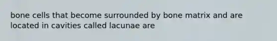 bone cells that become surrounded by bone matrix and are located in cavities called lacunae are