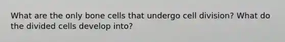 What are the only bone cells that undergo <a href='https://www.questionai.com/knowledge/kjHVAH8Me4-cell-division' class='anchor-knowledge'>cell division</a>? What do the divided cells develop into?