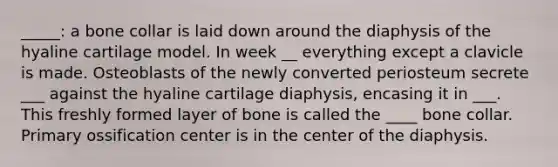 _____: a bone collar is laid down around the diaphysis of the hyaline cartilage model. In week __ everything except a clavicle is made. Osteoblasts of the newly converted periosteum secrete ___ against the hyaline cartilage diaphysis, encasing it in ___. This freshly formed layer of bone is called the ____ bone collar. Primary ossification center is in the center of the diaphysis.