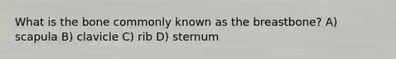 What is the bone commonly known as the breastbone? A) scapula B) clavicle C) rib D) sternum