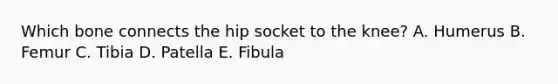 Which bone connects the hip socket to the knee? A. Humerus B. Femur C. Tibia D. Patella E. Fibula