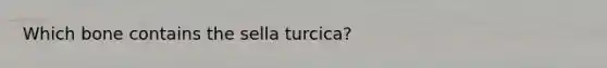 Which bone contains the sella turcica?