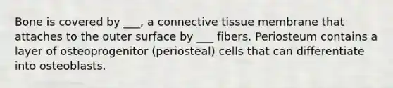 Bone is covered by ___, a connective tissue membrane that attaches to the outer surface by ___ fibers. Periosteum contains a layer of osteoprogenitor (periosteal) cells that can differentiate into osteoblasts.