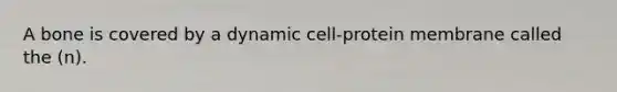 A bone is covered by a dynamic cell-protein membrane called the (n).