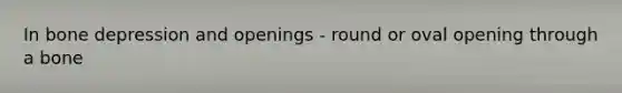 In bone depression and openings - round or oval opening through a bone