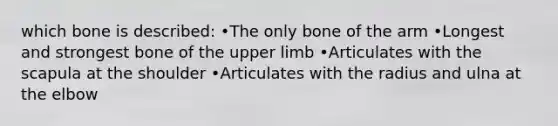 which bone is described: •The only bone of the arm •Longest and strongest bone of the upper limb •Articulates with the scapula at the shoulder •Articulates with the radius and ulna at the elbow