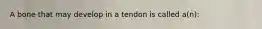 A bone that may develop in a tendon is called a(n):