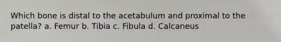 Which bone is distal to the acetabulum and proximal to the patella? a. Femur b. Tibia c. Fibula d. Calcaneus