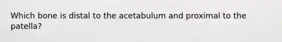 Which bone is distal to the acetabulum and proximal to the patella?