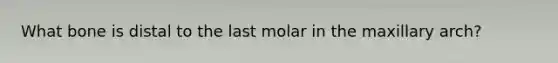 What bone is distal to the last molar in the maxillary arch?