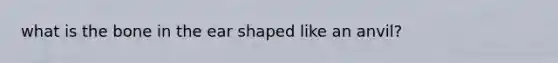 what is the bone in the ear shaped like an anvil?